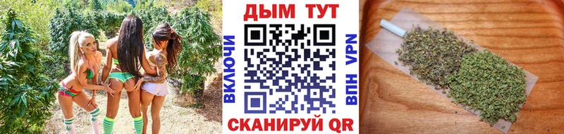 Каннабис гибрид  Купить где  Мирный 